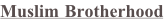 shapeimage_1_link_10